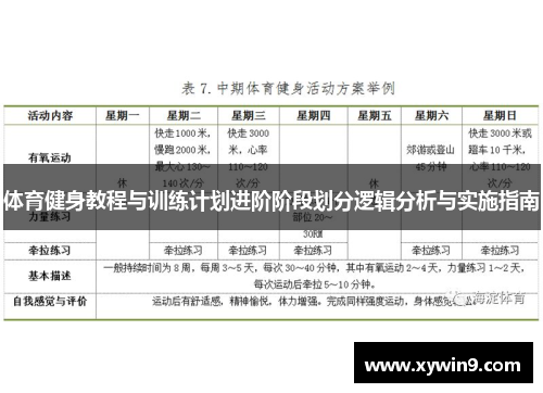 体育健身教程与训练计划进阶阶段划分逻辑分析与实施指南